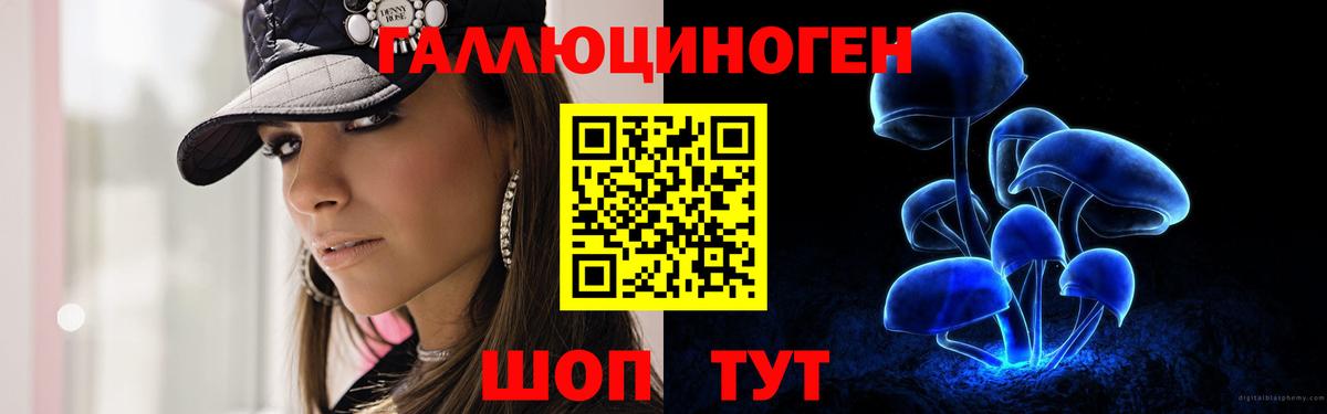 Псилоцибиновые грибы Psilocybe Комсомольск-на-Амуре